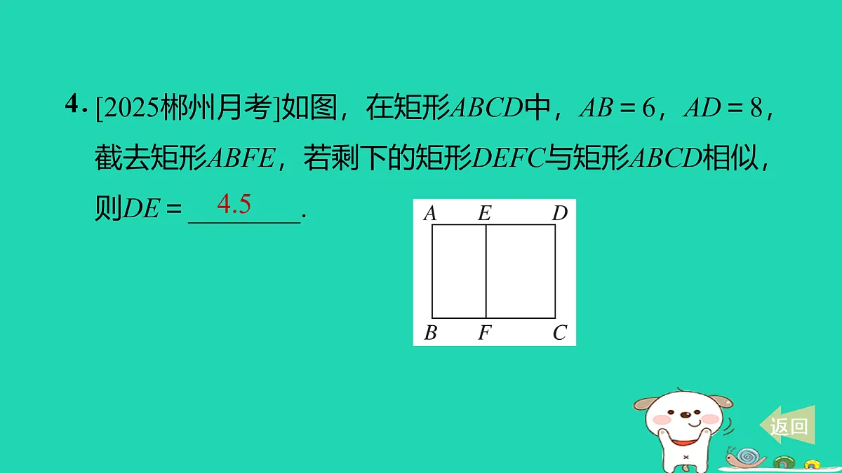 17527955第5页