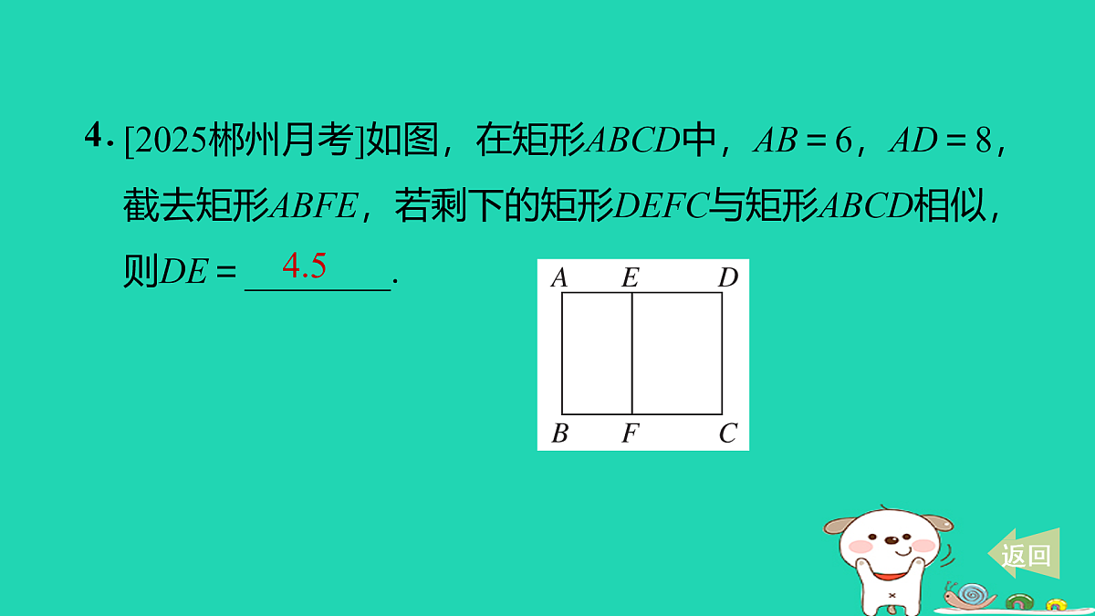 17527955第5页