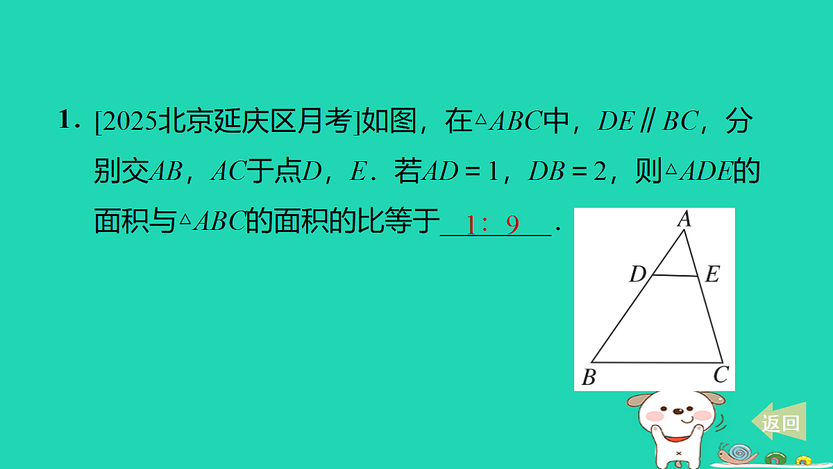 17527956第3页