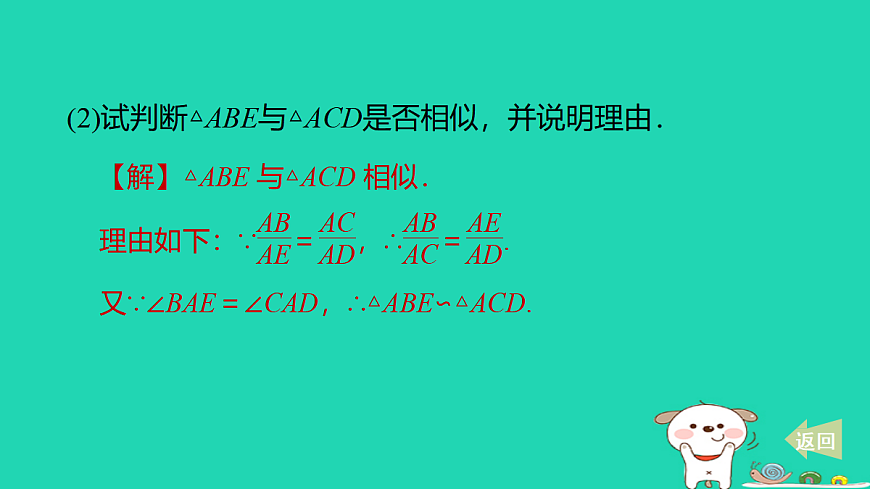 17527960第3页