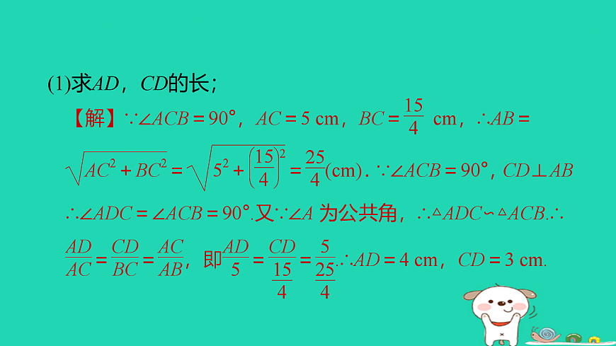 17527963第3页