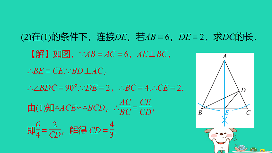 17527964第6页