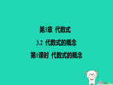 2025秋七年级数学上册第3章代数式3.2代数式的概念第1课时代数式的概念习题课件新版苏科版（含答案）