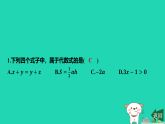 2025秋七年级数学上册第3章代数式3.2代数式的概念第1课时代数式的概念习题课件新版苏科版（含答案）