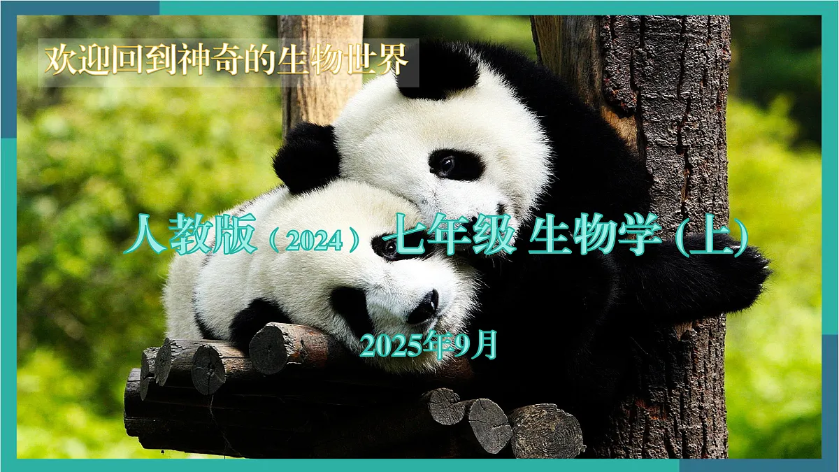 17529337第1页