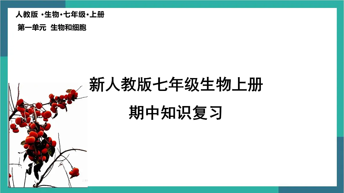 17529337第2页
