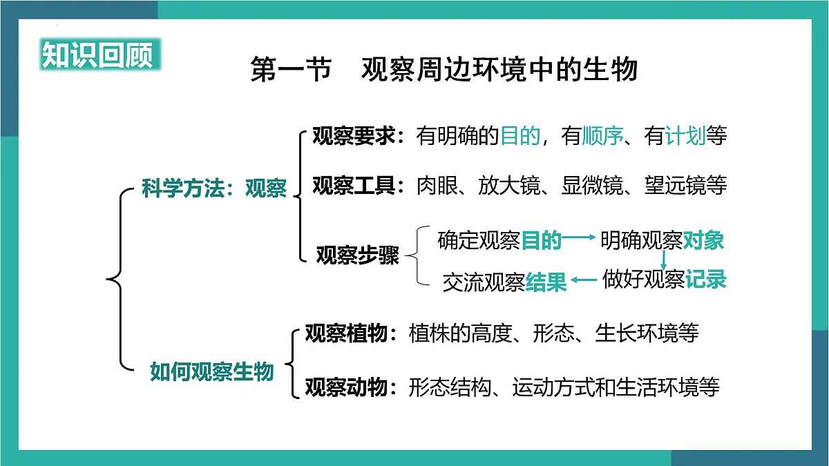 17529337第3页
