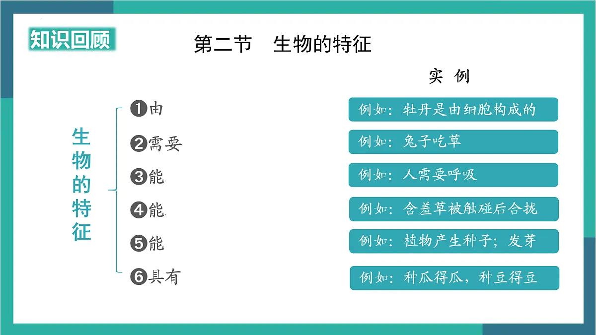 17529337第4页