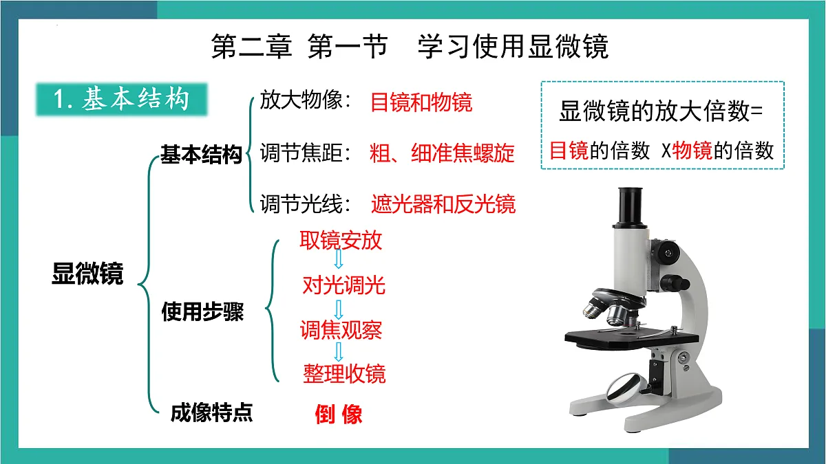17529337第5页