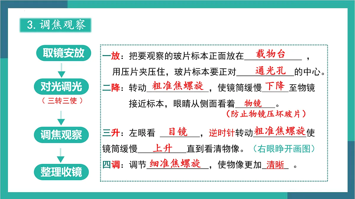 17529337第7页