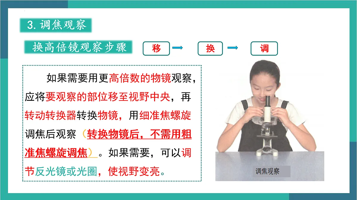 17529337第8页