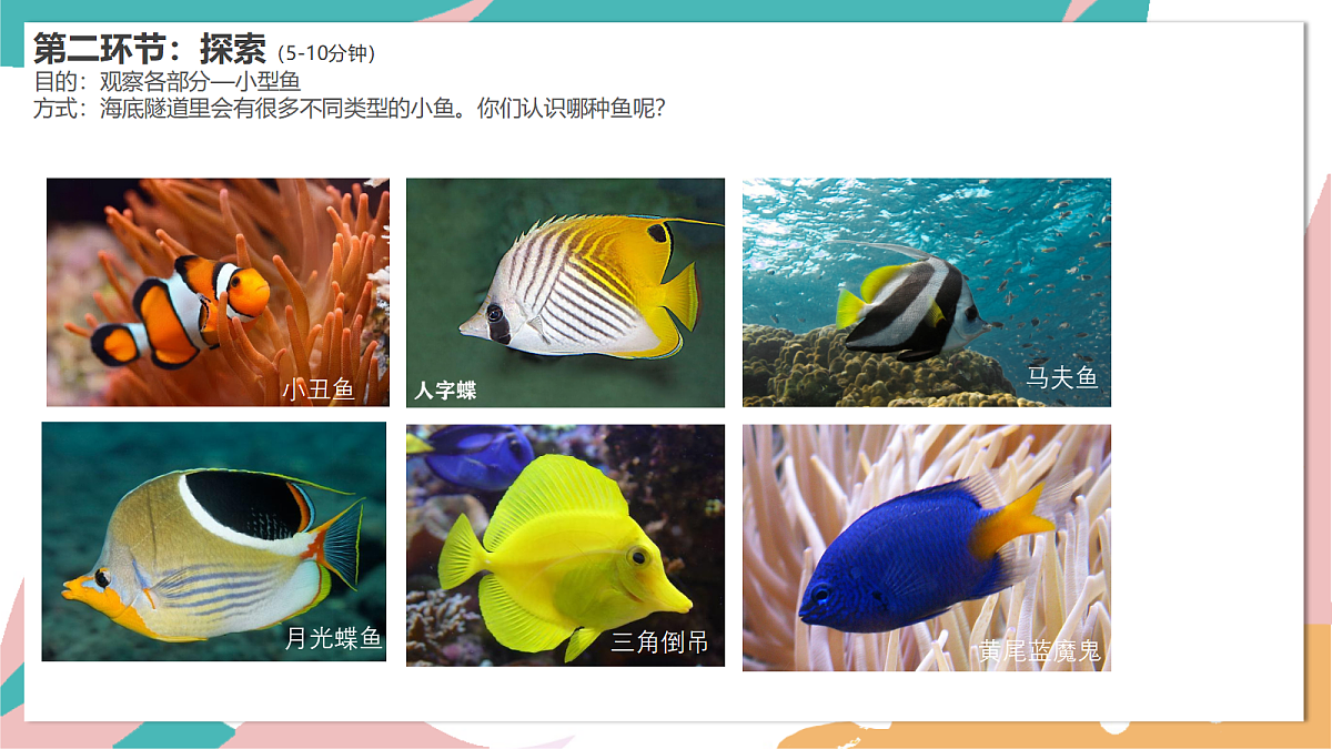 17530799第5页