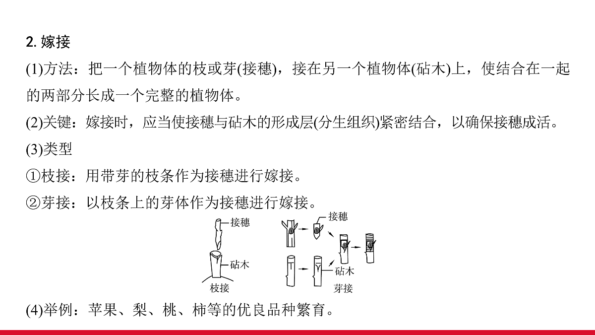 17530820第6页