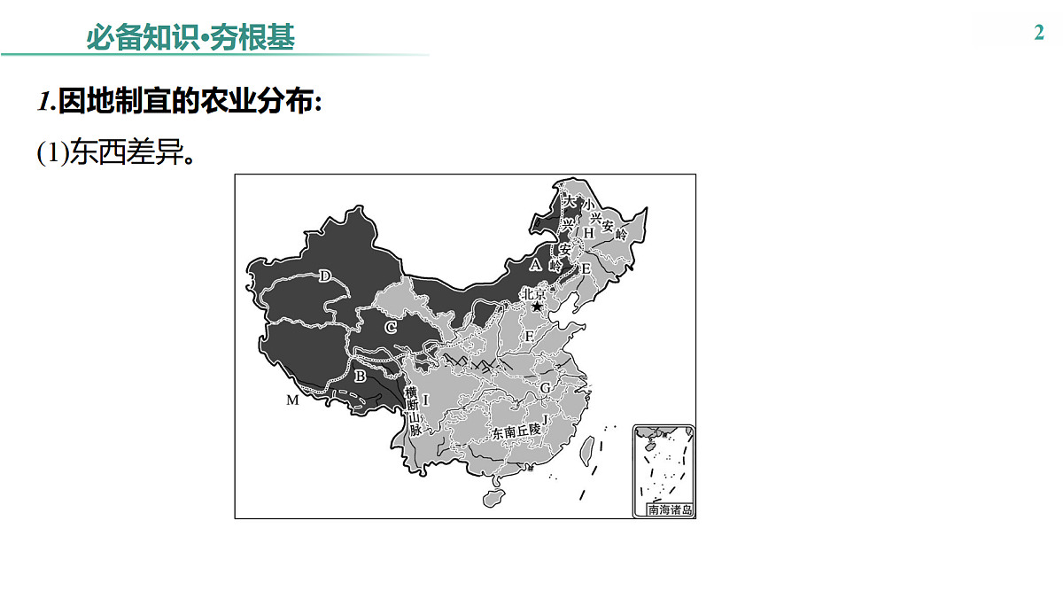17531670第2页