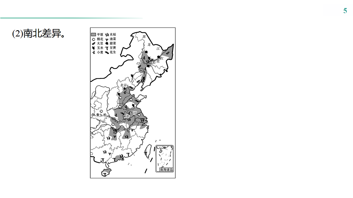 17531670第5页