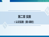 2025年秋北师大版数学八年级上册2.1认识实数（第1课时）课件+教案+同步练习