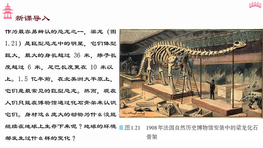 17533045第2页