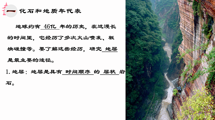 17533045第7页