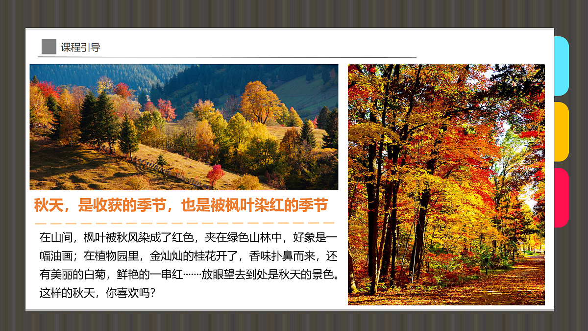17533119第5页