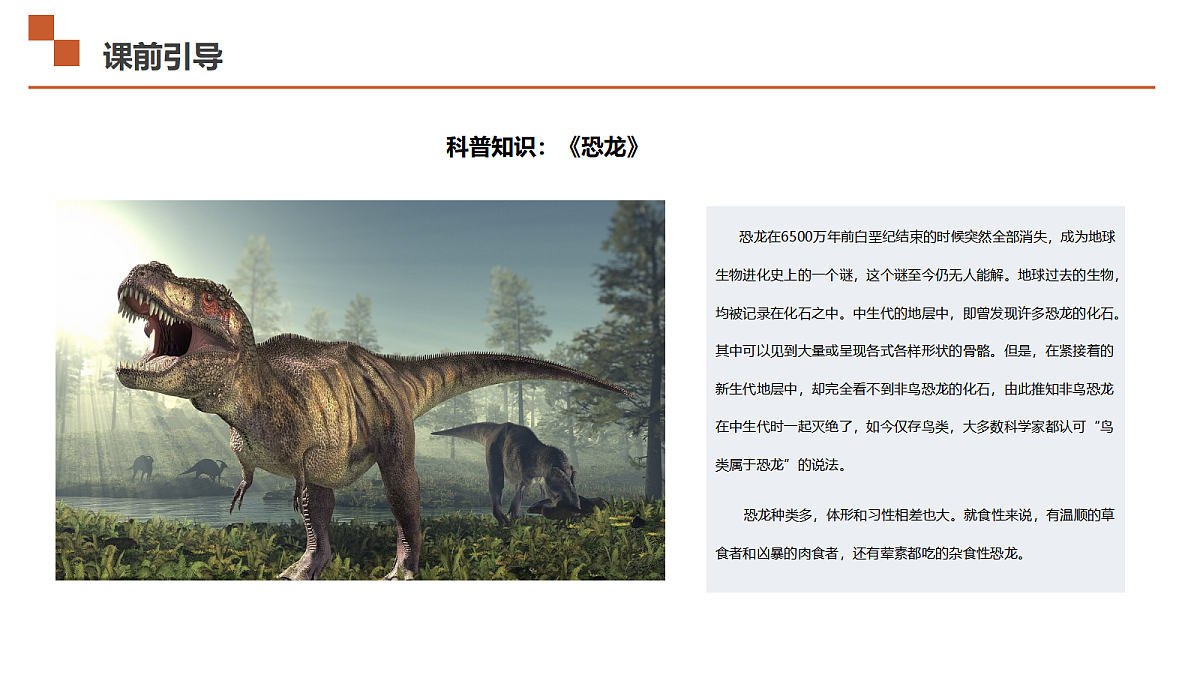 17533157第4页