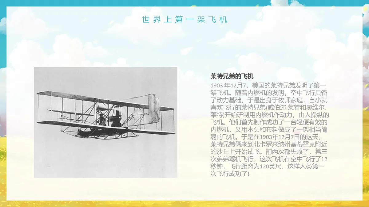 17533246第5页