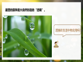 人教版初中物理八年级上册 5.2 生活中的透镜 课件