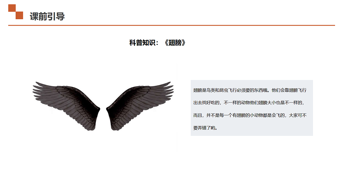 17533293第4页