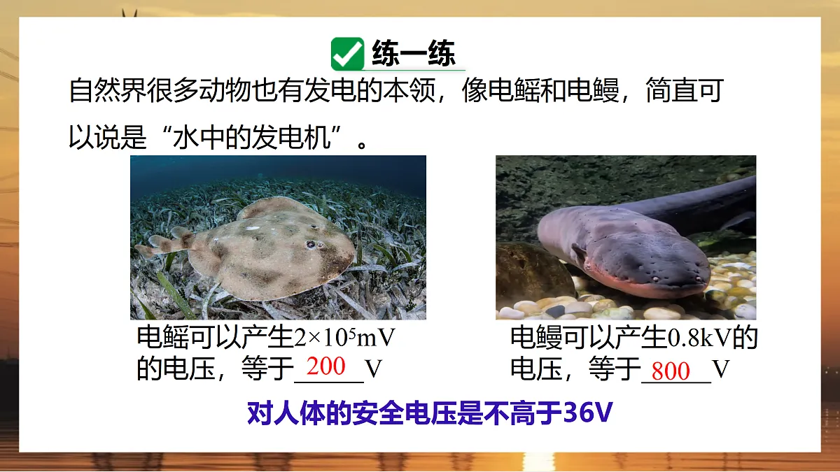 17533308第6页