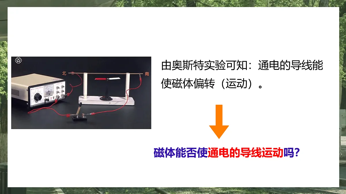 17533329第2页