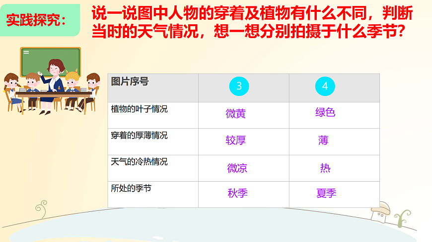 17533650第8页