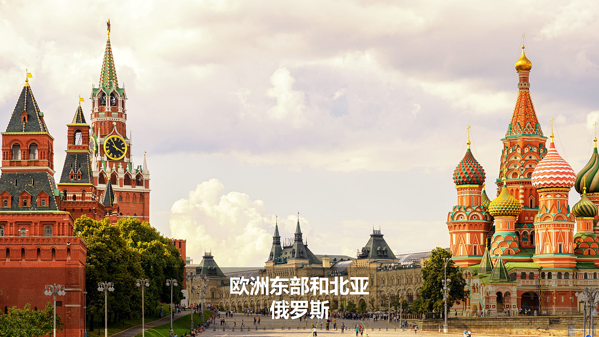17533651第1页