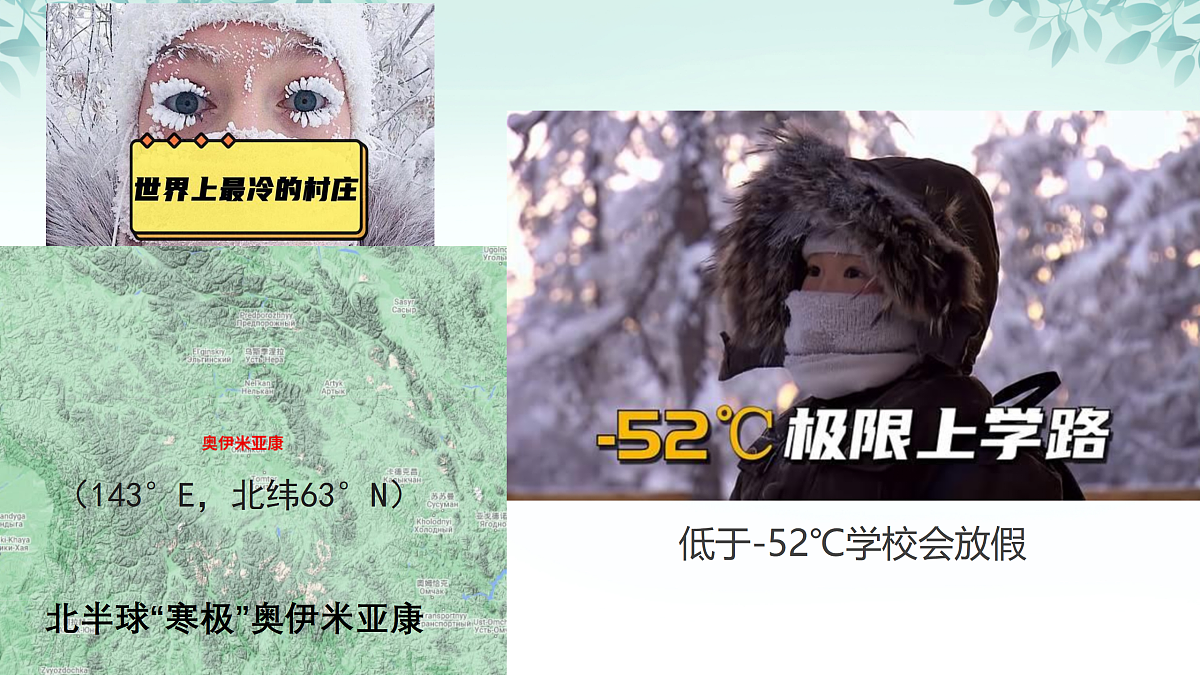 17533651第8页