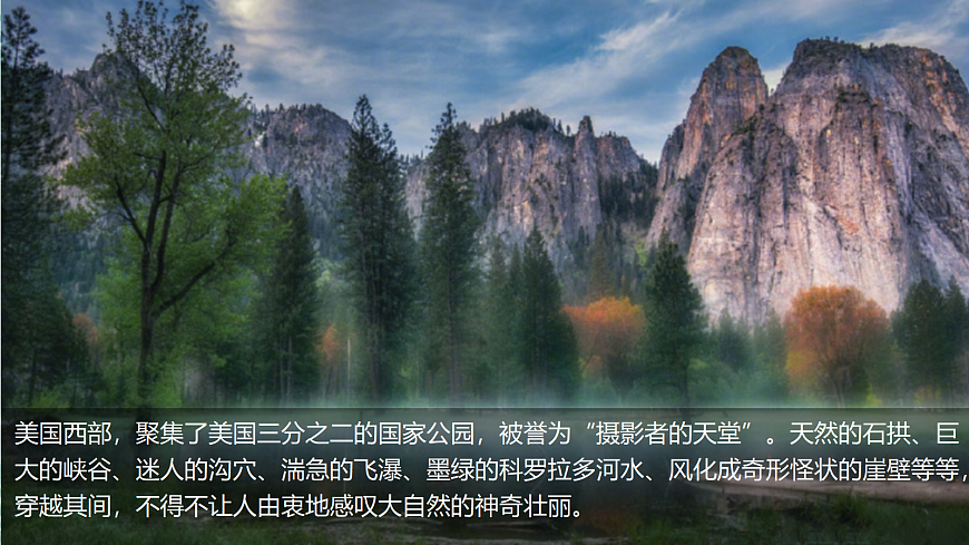 17533652第3页
