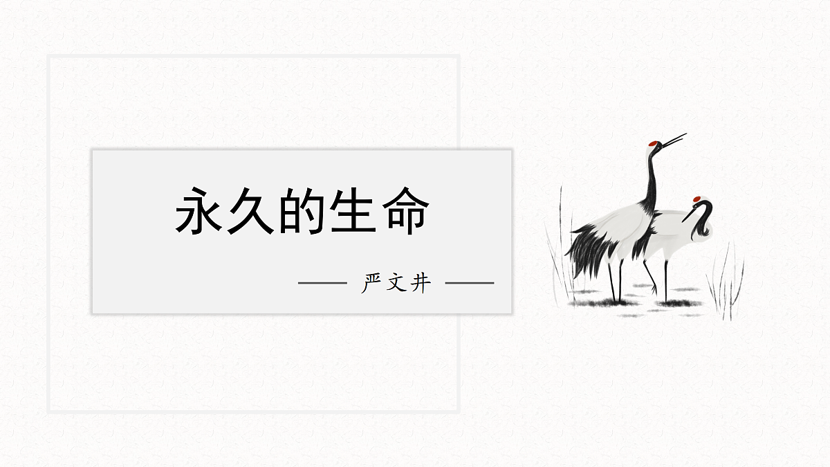17534205第3页