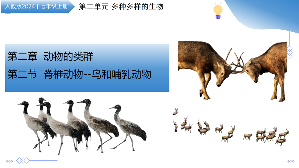 17534409第1页