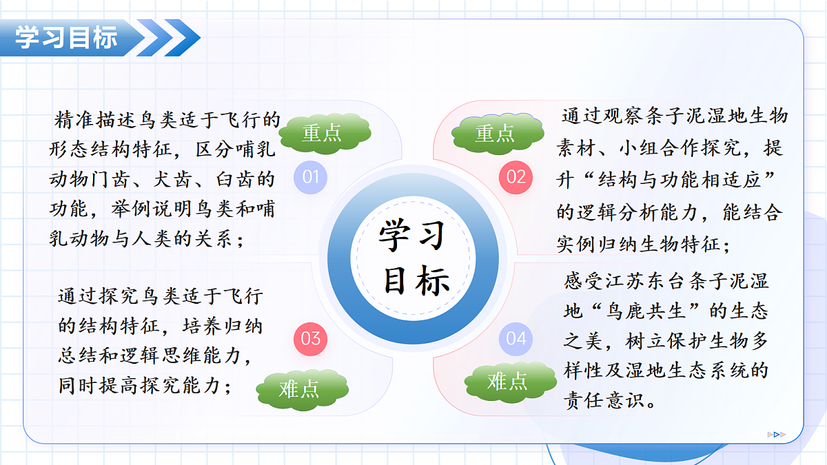 17534409第3页