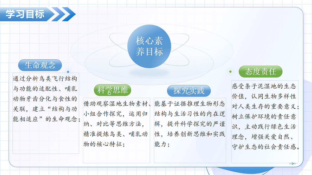 17534409第4页