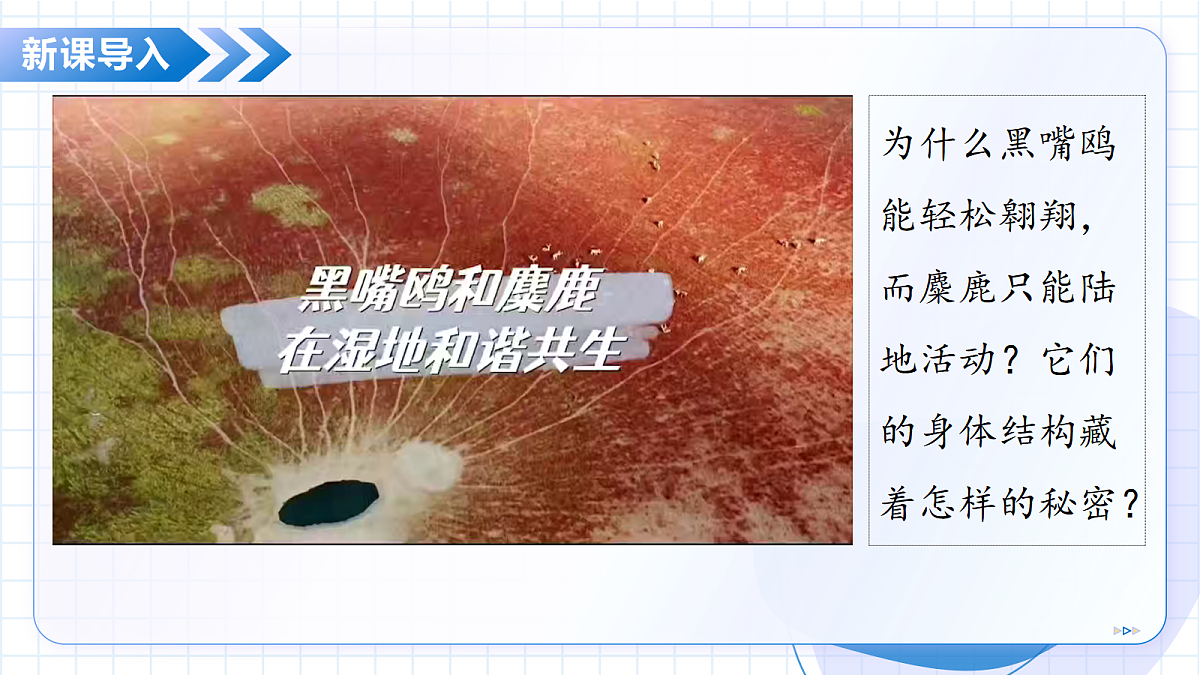 17534409第5页