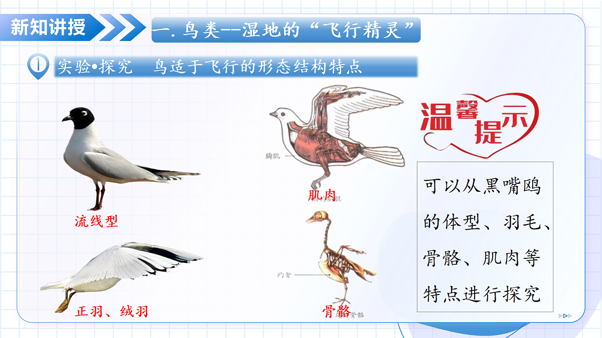 17534409第6页