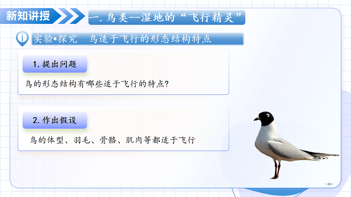 17534409第7页