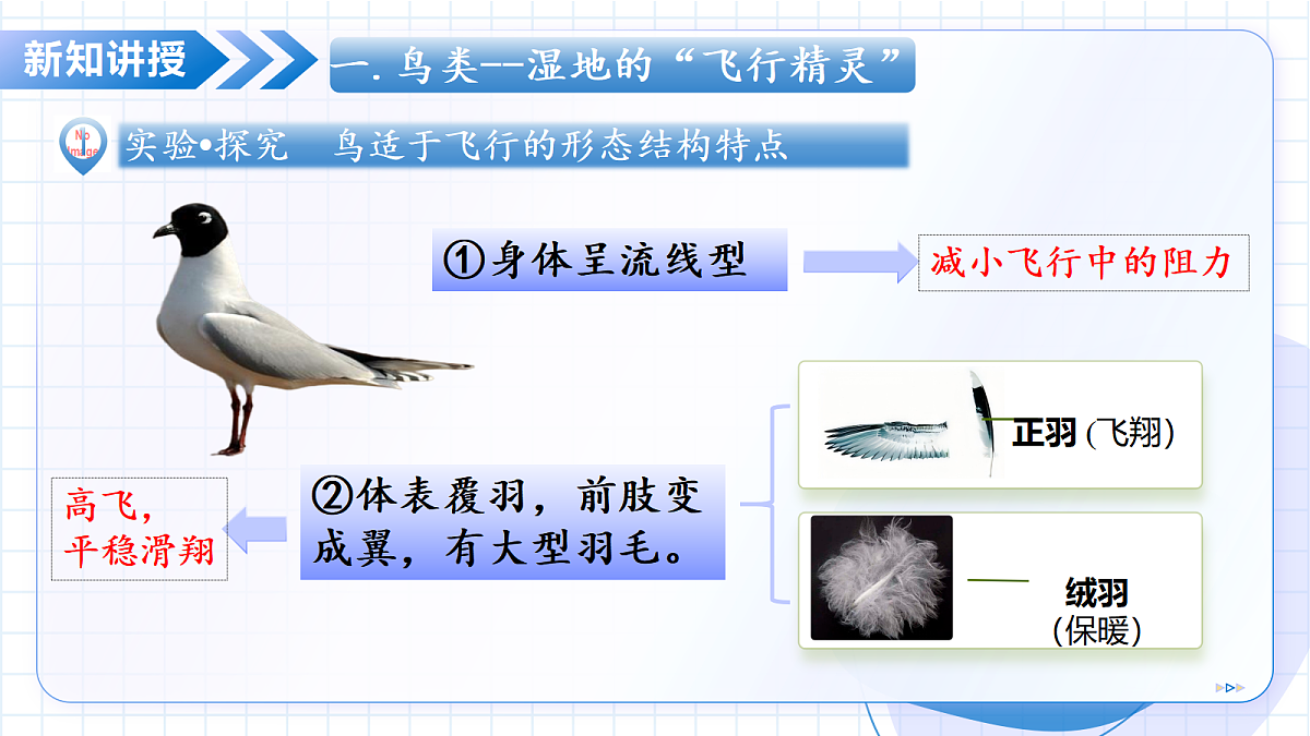 17534409第8页