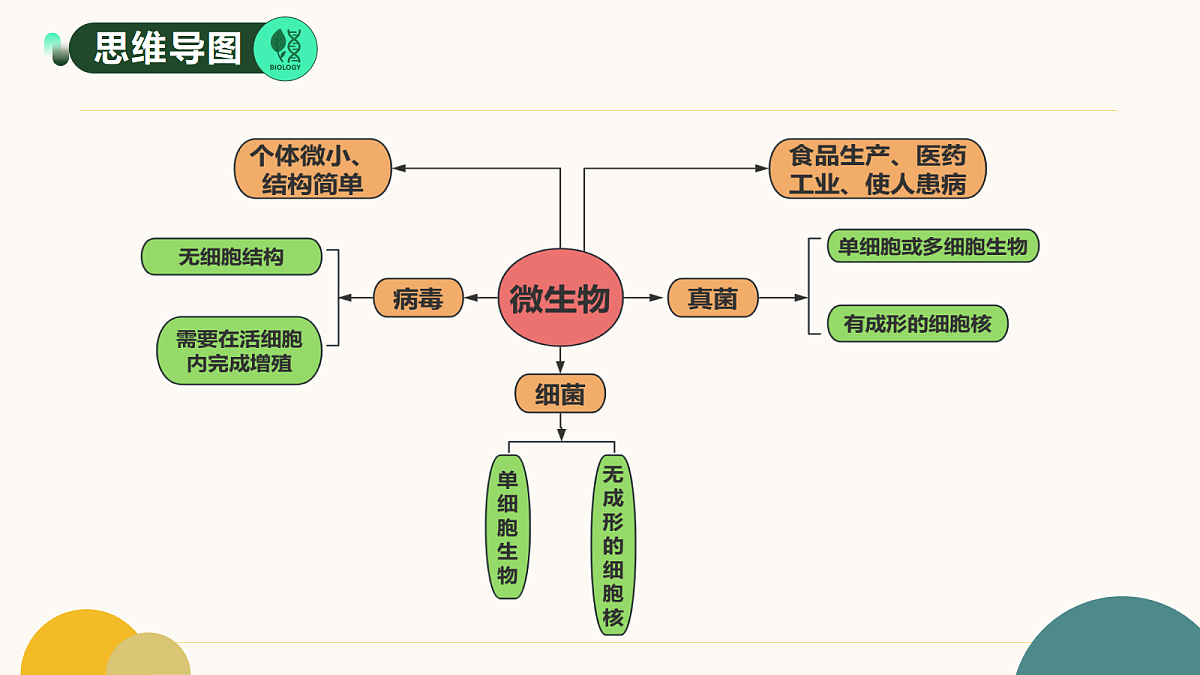 17534426第3页
