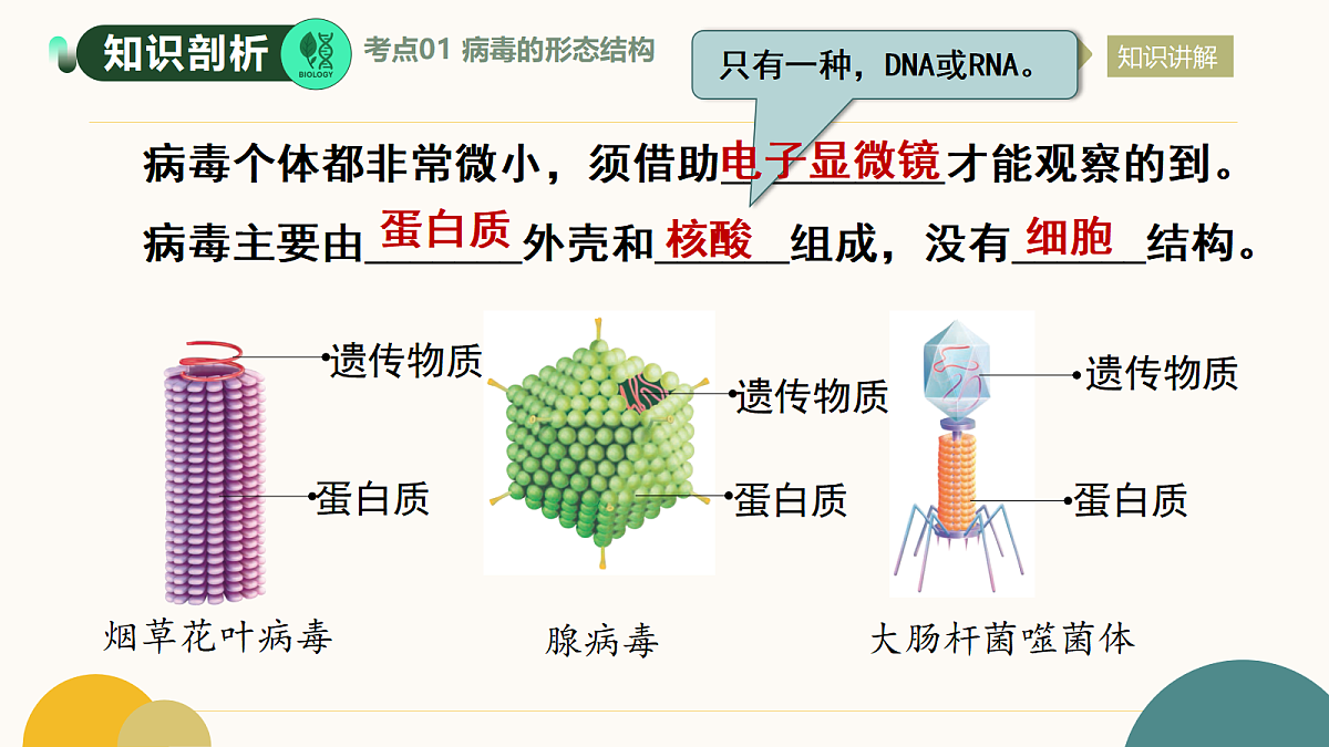 17534426第5页