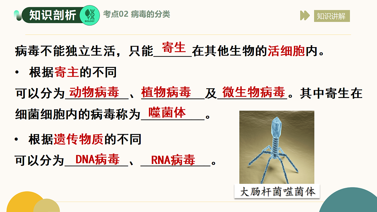 17534426第6页