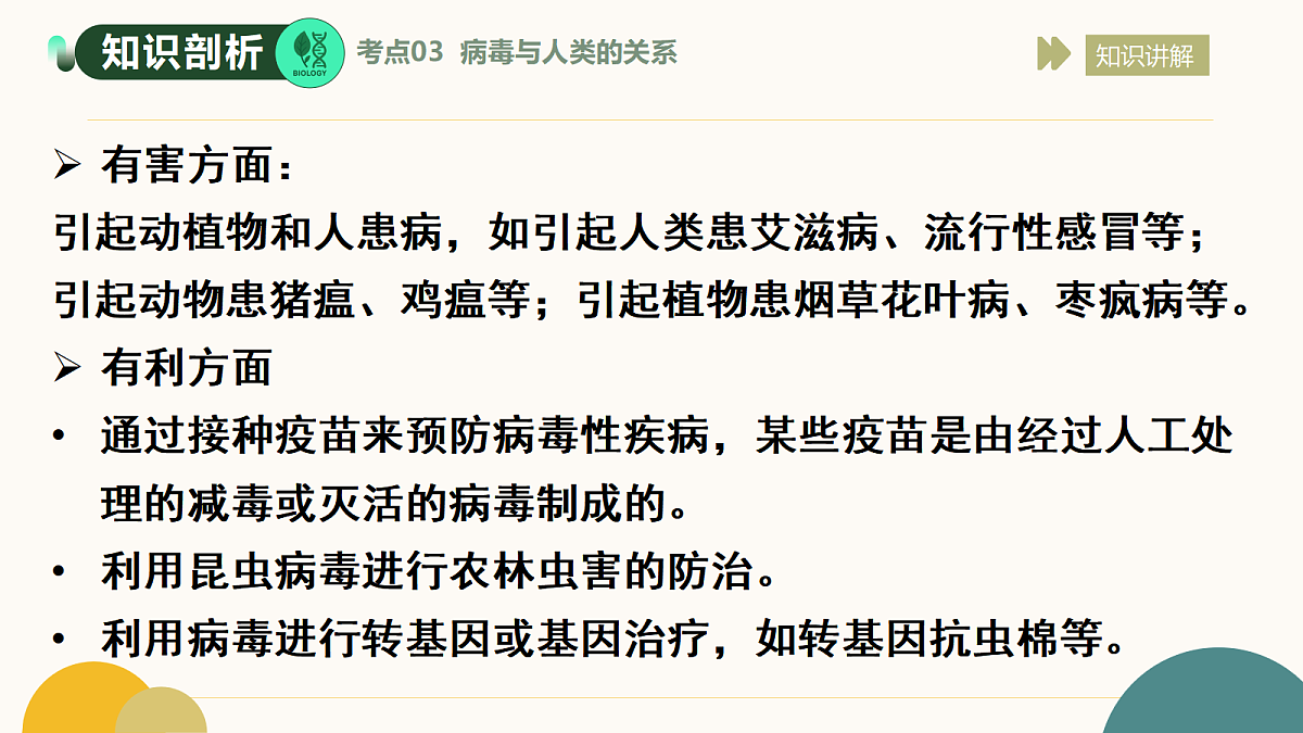 17534426第7页