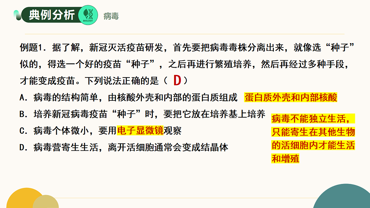 17534426第8页
