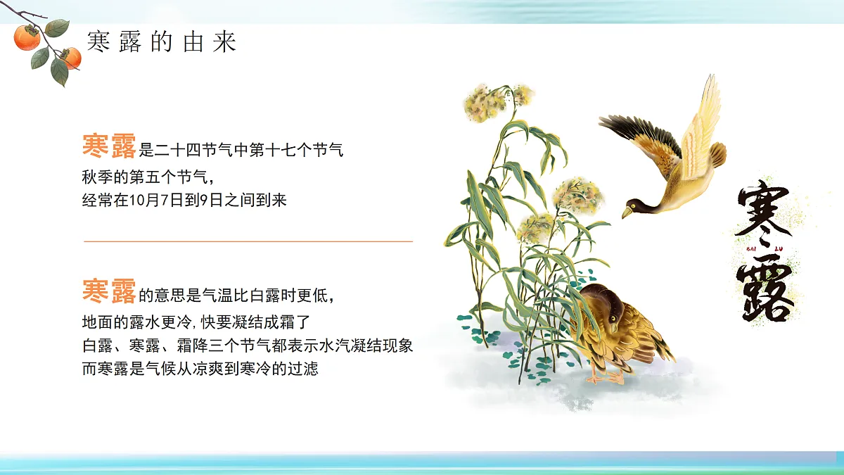 17534498第5页
