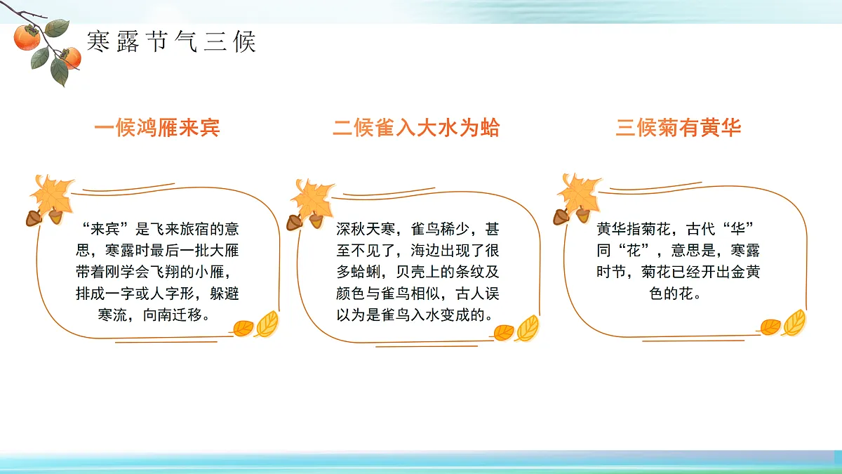 17534498第7页