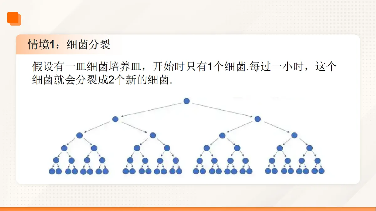 17534702第5页