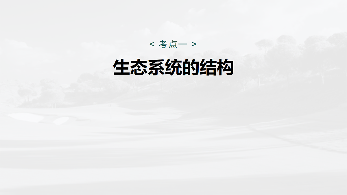 17534712第5页